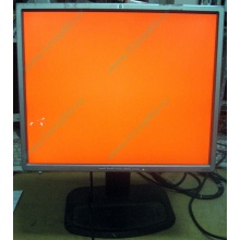 Монитор 19" TFT HP 1955 (DVI в Улан-Удэ, USB-хаб) "квадратный" (Улан-Удэ)
