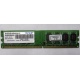 Модуль оперативной памяти 4Gb DDR2 Patriot PSD24G8002 pc-6400 (800MHz)  (Улан-Удэ)