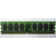 Модуль оперативной памяти 4096Mb DDR2 Patriot PSD24G8002 pc-6400 (800MHz)  (Улан-Удэ)