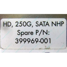 HP 250G 7.2k 432337-001/ 399699-001 / 397377-004 SATA HDD (Улан-Удэ)