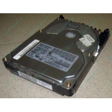 Жесткий диск 18.4Gb Quantum Atlas 10K III U160 SCSI (Улан-Удэ)