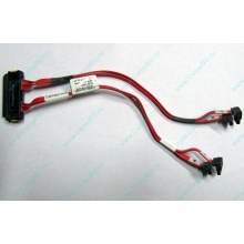 SATA-кабель для корзины HDD HP 451782-001 459190-001 для HP ML310 G5 (Улан-Удэ)