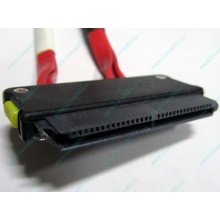 SATA-кабель для корзины HDD HP 451782-001 459190-001 для HP ML310 G5 (Улан-Удэ)