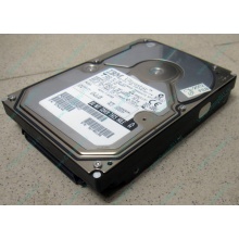Жесткий диск 18.2Gb IBM Ultrastar DDYS-T18350 Ultra3 SCSI (Улан-Удэ)