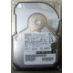 Жесткий диск 18.2Gb IBM Ultrastar DDYS-T18350 Ultra3 SCSI (Улан-Удэ)