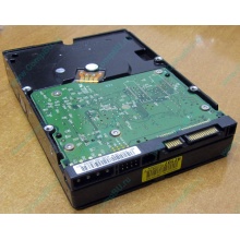 Б/У жёсткий диск 400Gb WD WD4000YR Caviar RE2 7200 rpm SATA  (Улан-Удэ)