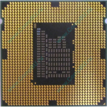 Процессор Intel Celeron G540 (2x2.5GHz /L3 2048kb) SR05J s.1155 (Улан-Удэ)