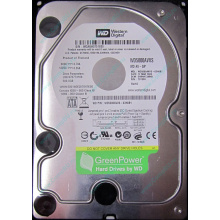 Б/У жёсткий диск 500Gb Western Digital WD5000AVVS (WD AV-GP 500 GB) 5400 rpm SATA (Улан-Удэ)