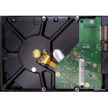 Б/У жёсткий диск 1Tb Western Digital WD10EVVS Green (WD AV-GP 1000 GB) 5400 rpm SATA (Улан-Удэ)
