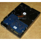 Электроника HDD 500Gb Hitachi HDS721050DLE630 (Улан-Удэ)