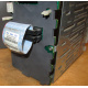 HP 365664-001 кабель SCSI для корзины 373108-001 / 359719-001 HP ML370G4 (Улан-Удэ)