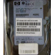 Жёсткий диск 146.8Gb HP 365695-008 404708-001 BD14689BB9 256716-B22 MAW3147NC 10000 rpm Ultra320 Wide SCSI купить в Улан-Удэ, цена (Улан-Удэ).