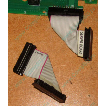 6017B0045701 Шлейф 24 pin для Intel C74974-401 T0043401-B01 корпуса SR2400 (Улан-Удэ)