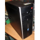 БУ компьютер HP Compaq Elite 8300 (Intel Core i3-3220 (2x3.3GHz HT) /4Gb /250Gb /ATX 320W) - Улан-Удэ