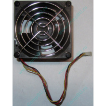 Вентилятор EFB0812HHE IBM 59P23B1 FRU 59P2572 (Улан-Удэ)