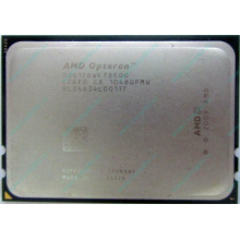 AMD Opteron 6128 OS6128WKT8EGO (Улан-Удэ)
