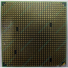 Процессор AMD Athlon 64300+ (1.8GHz) ADA3000IAA4CN s.AM2 (Улан-Удэ)