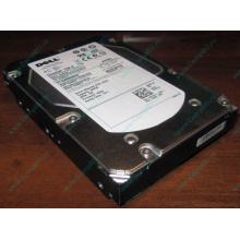 Жесткий диск 300Gb 15k Dell 9CH066-050 6G SAS (Seagate Cheetach ST3300656SS 15K.6) - Улан-Удэ
